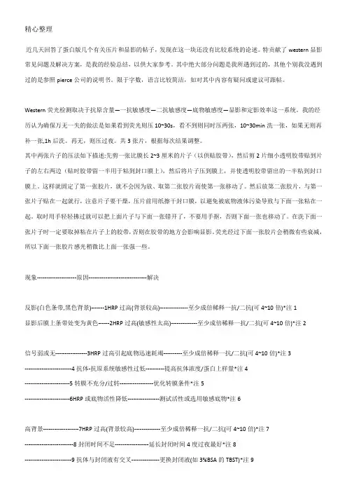 western blot条带分析