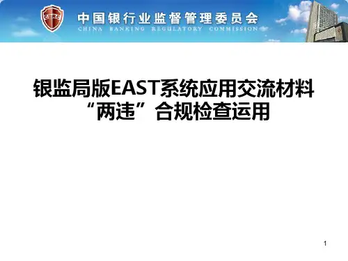 银监局版EAST系统应用交流材料“两违”合规检查运用