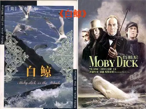《白鲸》简介