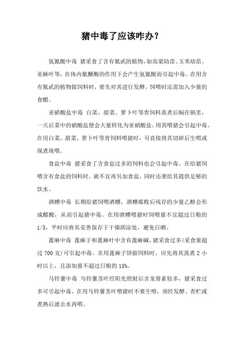 猪中毒了应该咋办？