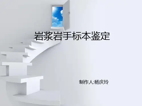 岩浆岩手表本鉴定.ppt