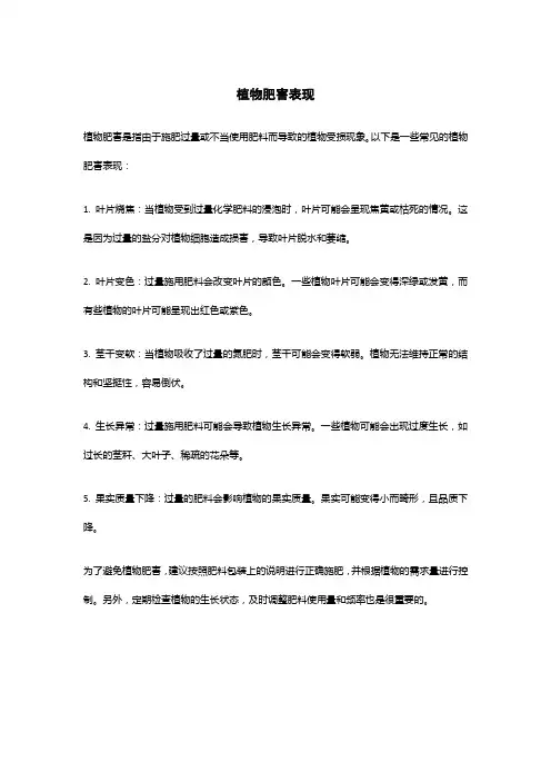 植物肥害表现