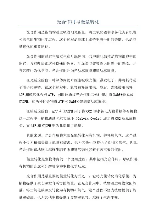 光合作用与能量转化