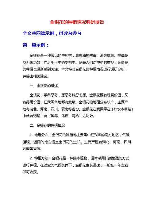 金银花的种植情况调研报告