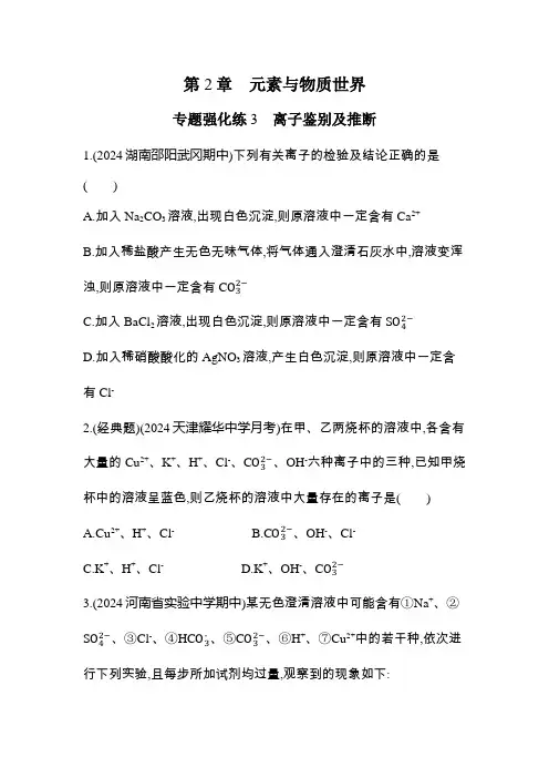 鲁科版高中化学必修第一册专题强化练3离子鉴别及推断含答案