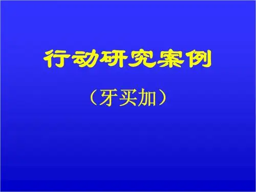 行动研究案例
