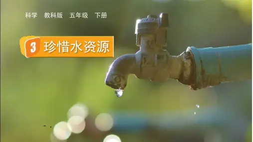 《珍惜水资源》PPT