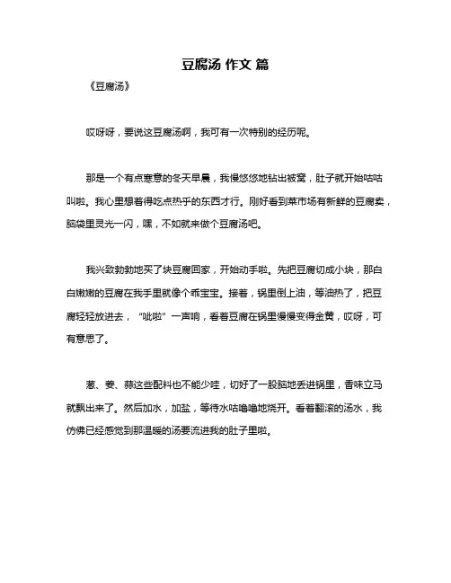 豆腐汤 作文 篇