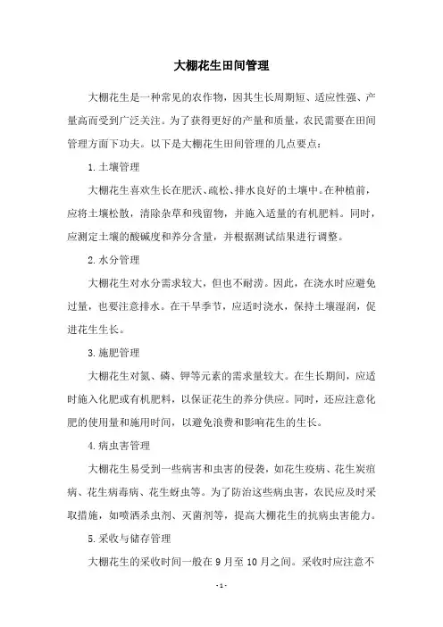 大棚花生田间管理