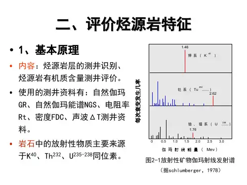 2烃源岩特征解析