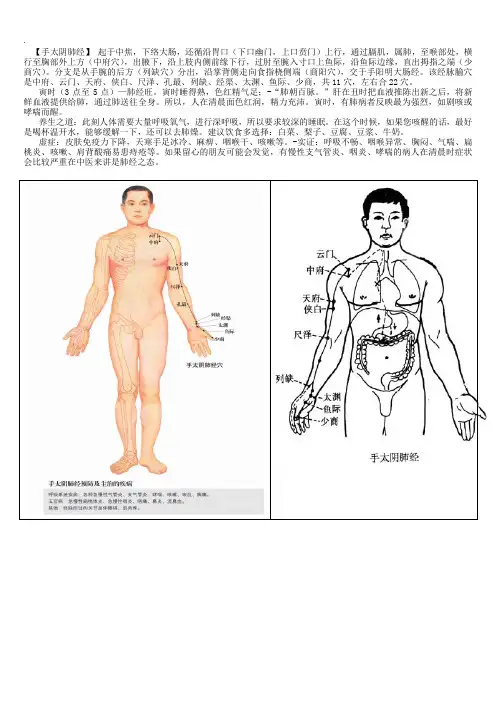 中医学人体经脉十二经脉经八脉全套图文