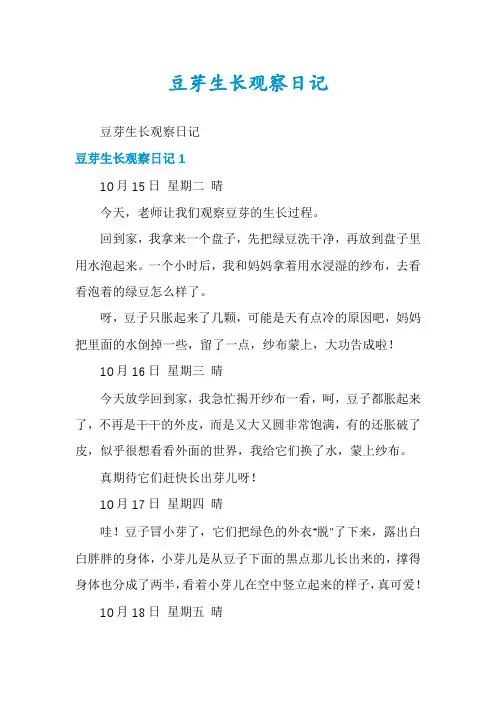 豆芽生长观察日记