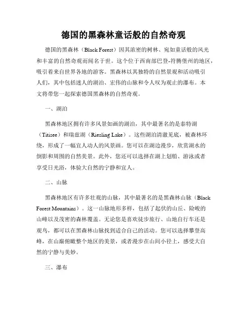 德国的黑森林童话般的自然奇观