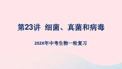 (人教通用)中考生物一轮复习第23讲细菌、真菌和病毒课件