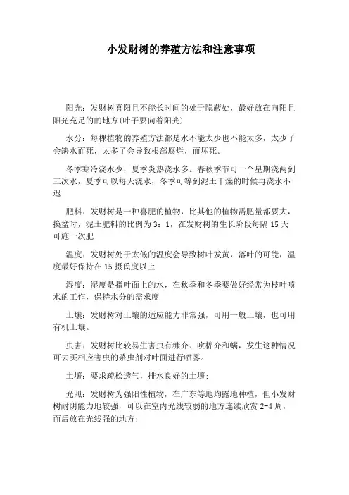 小发财树的养殖方法和注意事项