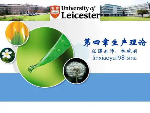 经济学基础第四章生产理论