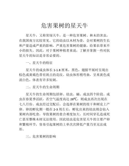 危害果树的星天牛