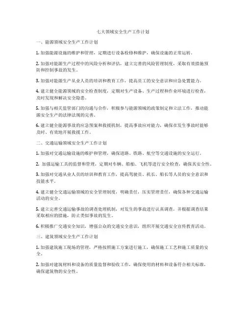 七大领域安全生产工作计划