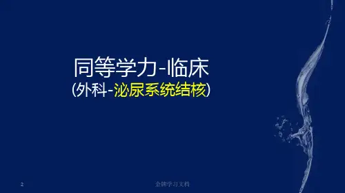外科-泌尿系统结核