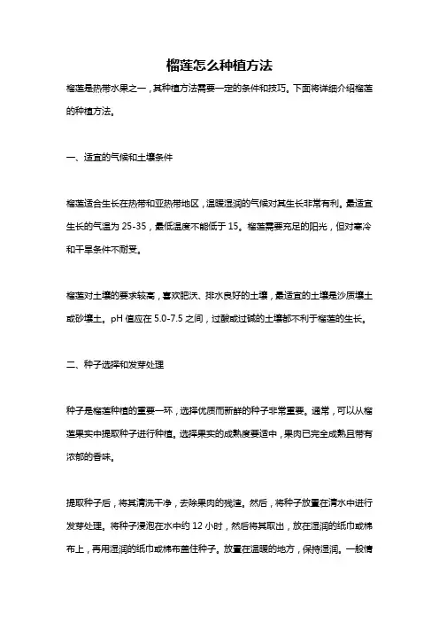 榴莲怎么种植方法