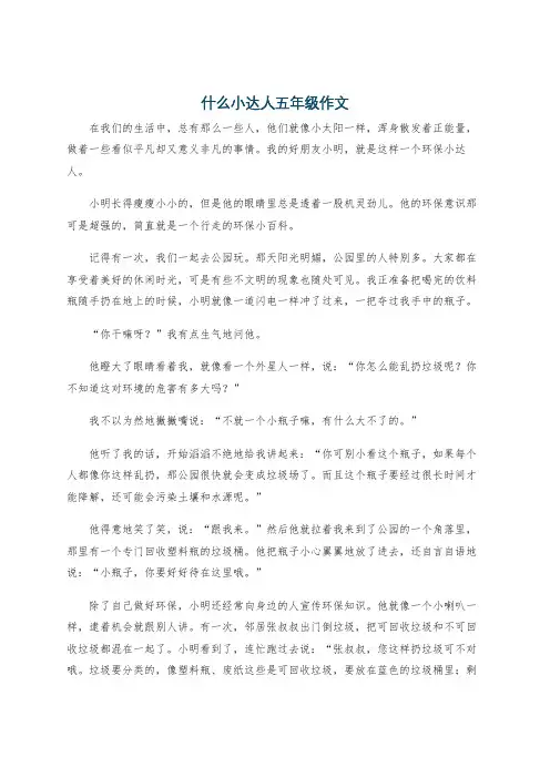 什么小达人五年级作文