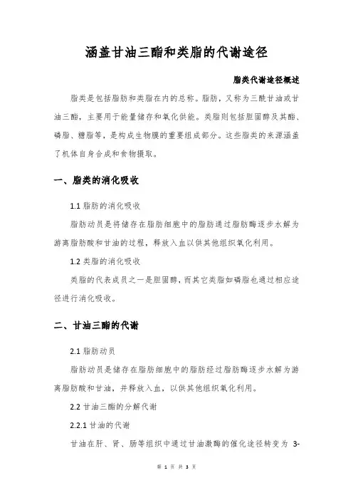 涵盖甘油三酯和类脂的代谢途径