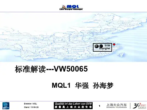 标准解读 VW50065