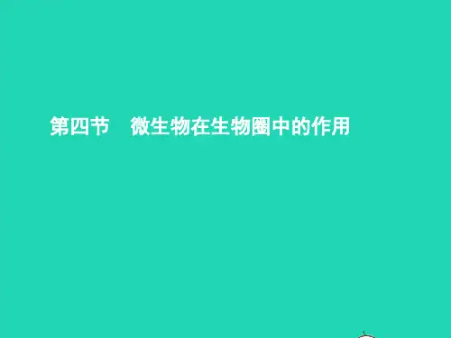 七年级生物上册 2.3.4 微生物在生物圈中的作用课件 (新版)济南版