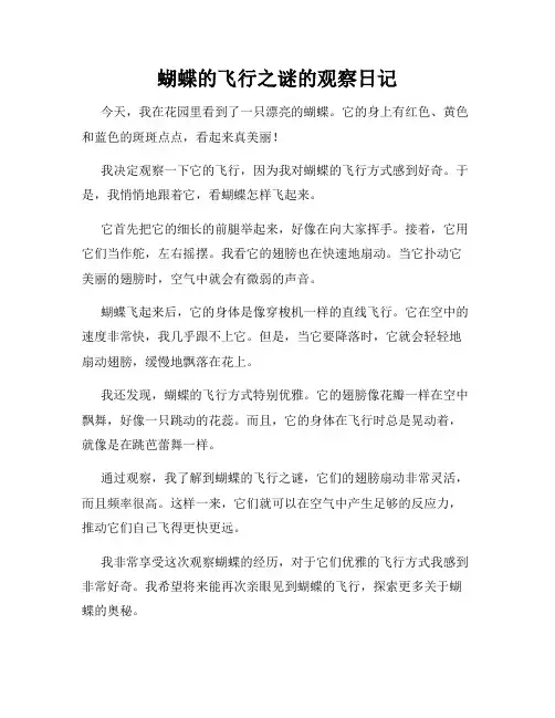 小学三年级作文蝴蝶的飞行之谜的观察日记