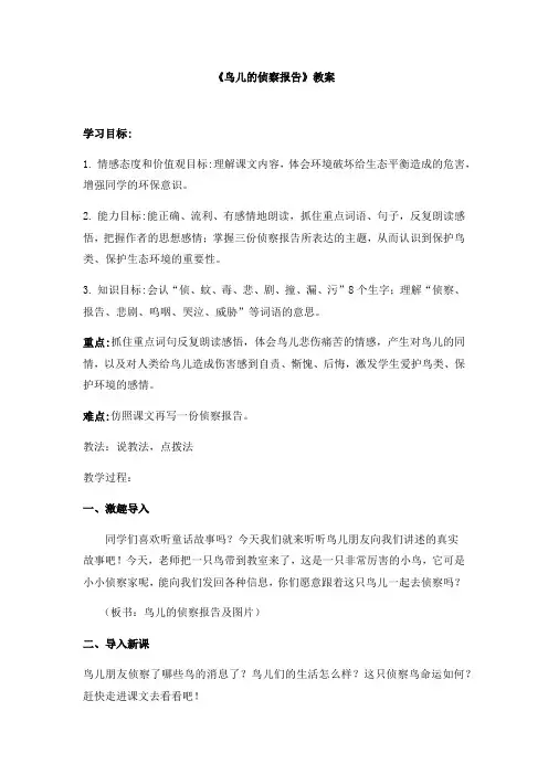 鸟儿的侦察报告教案 -完整获奖版