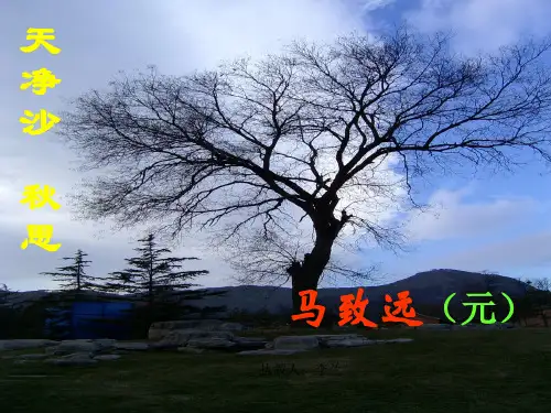 人教七年级语文 上册《天净沙 秋思》课件(31张ppt)