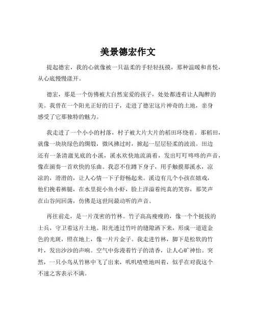 美景德宏作文