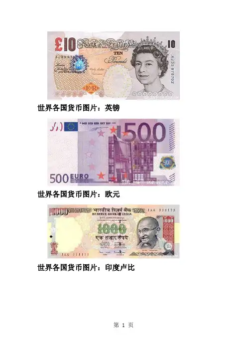 世界各国的货币名称及图片标志34页word