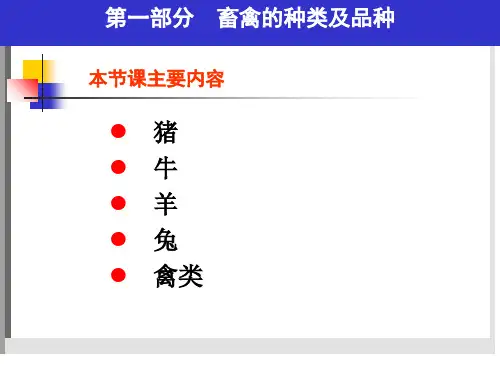 第3章畜产食品原料第一部分畜禽种类及品种ppt课件