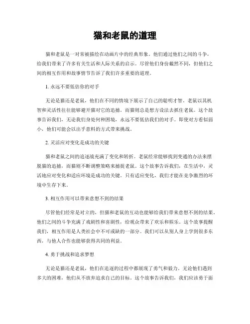 猫和老鼠的道理