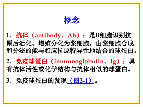 第四十章-免疫球蛋白与抗体-幻灯片(1)