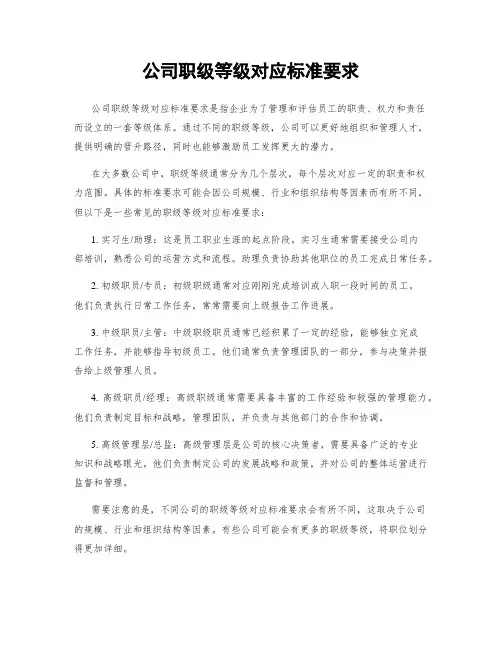 公司职级等级对应标准要求