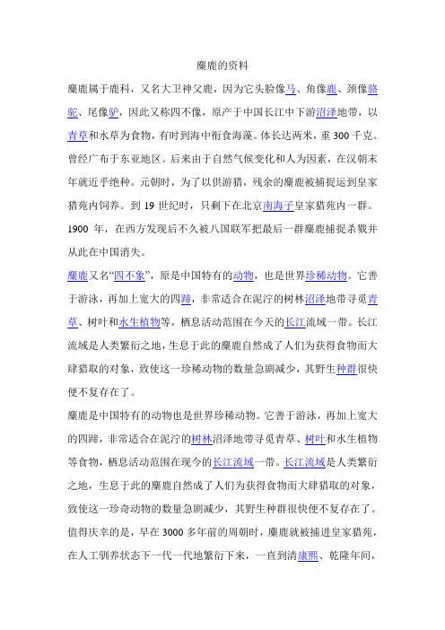 麋鹿的资料