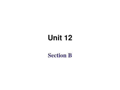 人教版英语九年级Unit12 Section B 知识点讲解