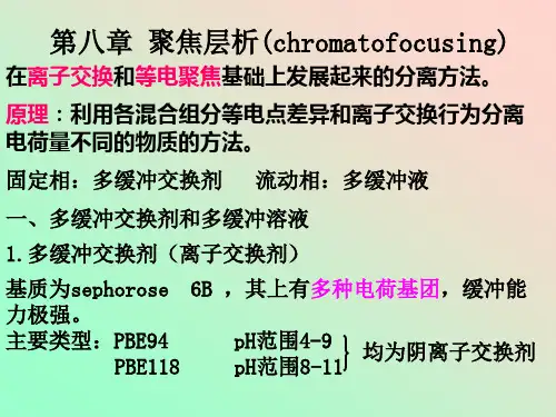 生化技术第八章 聚焦层析