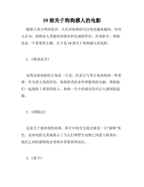 10部关于狗狗感人的电影 