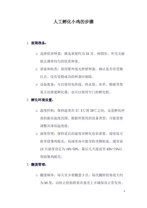 人工孵化小鸡的步骤