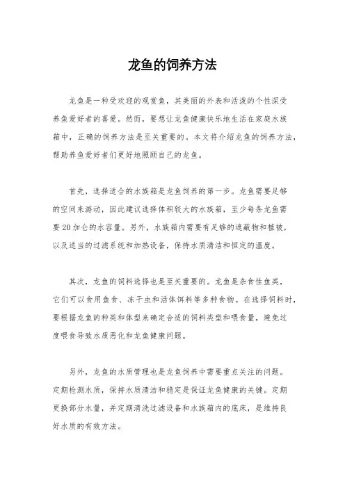 龙鱼的饲养方法