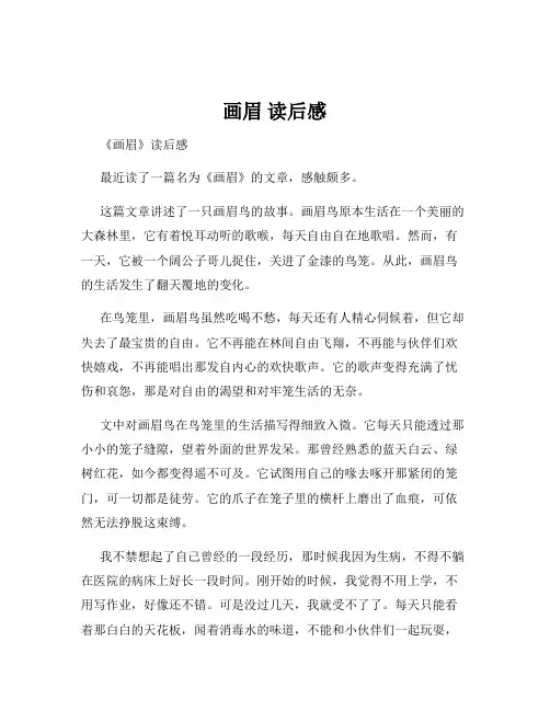 画眉 读后感