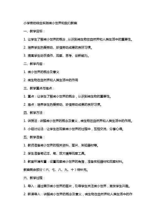 小学劳动综合实践微小世界和我们教案