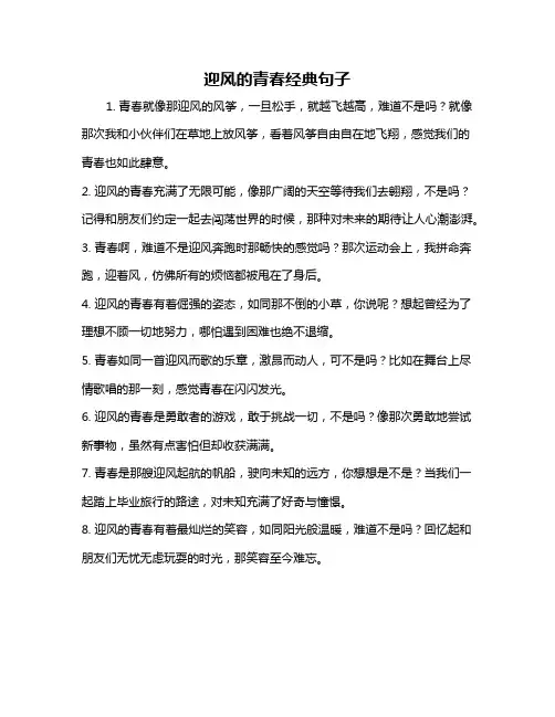 迎风的青春经典句子