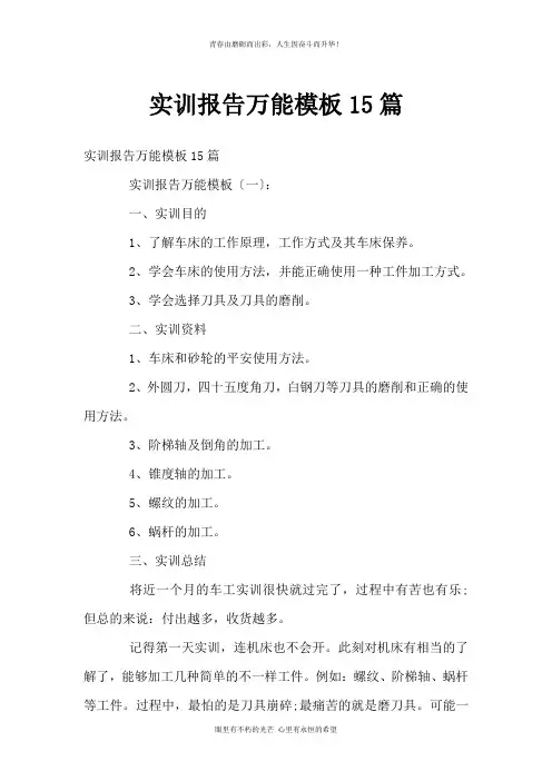 实训报告万能模板15篇