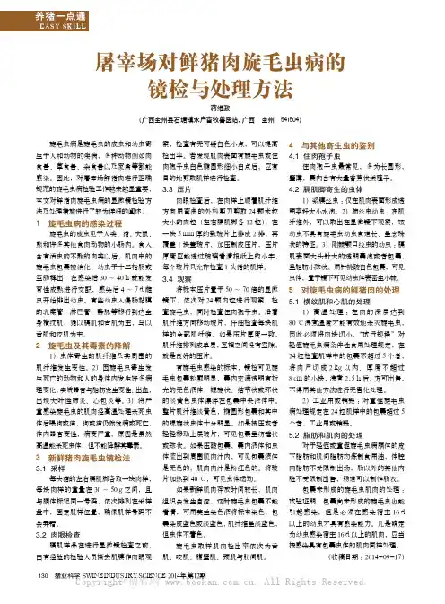 屠宰场对鲜猪肉旋毛虫病的镜检与处理方法