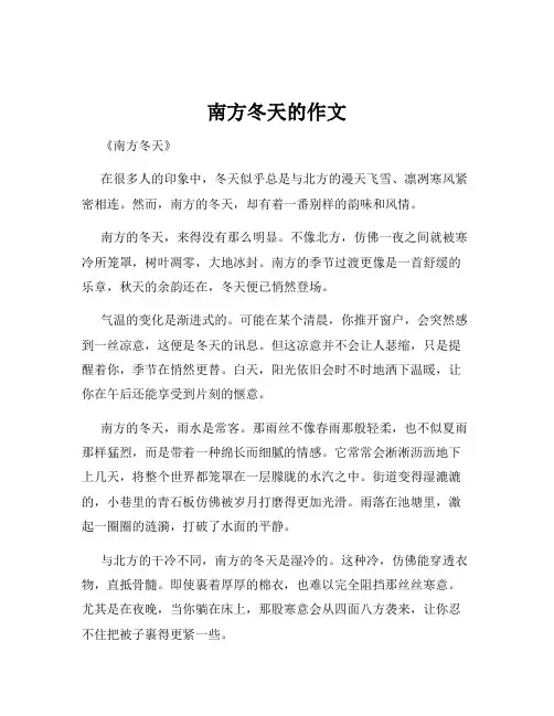 南方冬天的作文