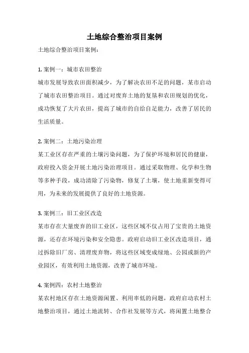 土地综合整治项目案例